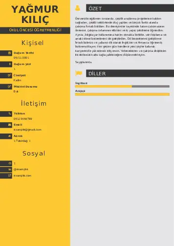 Okul Öncesi Öğretmeni Öğretmenliği Cv Örnekleri cv indir